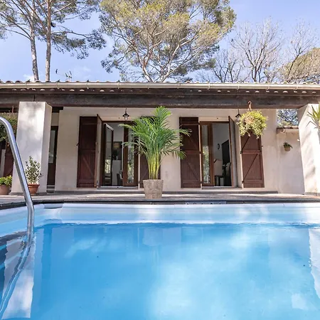 Romarin * Mougins