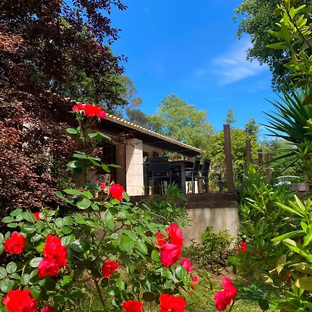 Romarin * Mougins